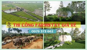 Read more about the article Thi Công FarmStay Daklak